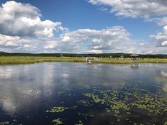 -塞罕坝国家级自然保护区