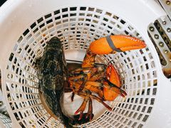 -田大厨海鲜超市(万豪店)