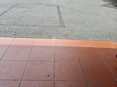 -海泉湾竹筒饭·瘦身水库大头鱼(从化温泉镇店)