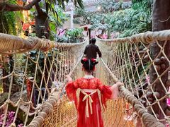 -正佳雨林生态植物园