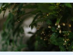 -行人小筑·茶馆(岑村火炉山分店)