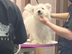 -FAELING PETS美天灵宠物(富力广场店)