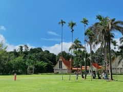 -中国科学院西双版纳热带植物园