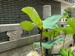 -广州莲花山旅游区