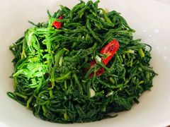 炝拌沙葱-老毛手抓·盐池滩羊非遗手抓(宁夏总店)