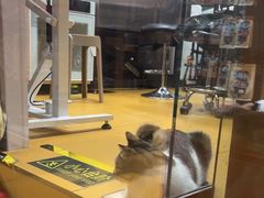 -MARSMART PETS火星宠物超市(1733店)