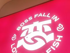 -老板恋上鱼(恒隆广场店)