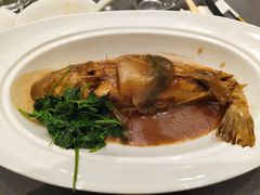 红烧河豚鱼-狮王府淮扬菜(新街口友谊店)