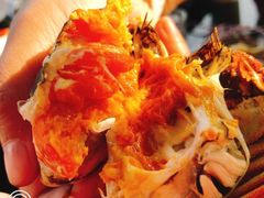 -七的湖·晚芳亭·阳澄湖农家菜·大闸蟹(莲花岛店)