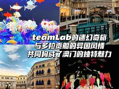 -澳门威尼斯人综合度假区