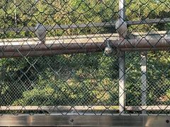 -下渚湖国家湿地公园科普馆