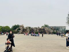 -石家庄市植物园