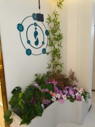 -头道汤头疗养生馆