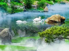 -罗红摄影艺术馆