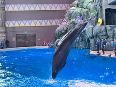 -珠海长隆海洋王国