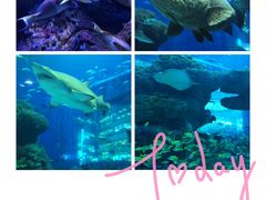 -成都浩海立方海洋公园