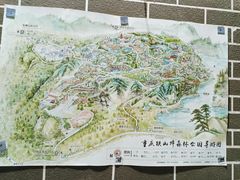 -铁山坪森林公园