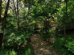 -崂山九水游览区