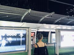 -珠江夜游广州塔·中大码头