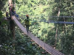 -清迈丛林飞跃 JungleFlight