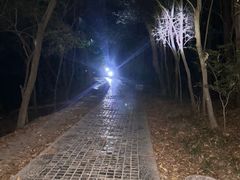 -紫金山山顶公园