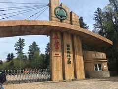 门面-五营红松林海景区