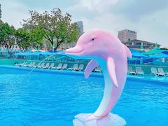 -海合安成都极地海洋公园