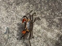 -普陀山风景名胜区-千步大沙