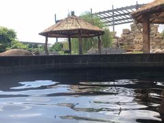 -龙达温泉生态城