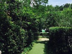 -旅马餐厅(茅家埠店)