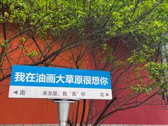 -龙里油画大草原旅游区
