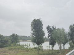 -南京枫彩漫城