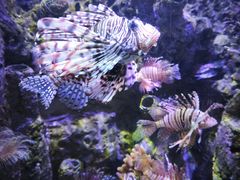 -太平洋海底世界