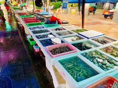-外伶仃岛海鲜市场