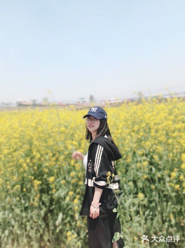 这里的油菜花灿烂了整个世界