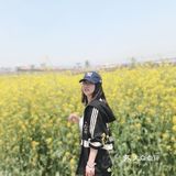 这里的油菜花灿烂了整个世界