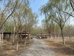 -西青郊野公园