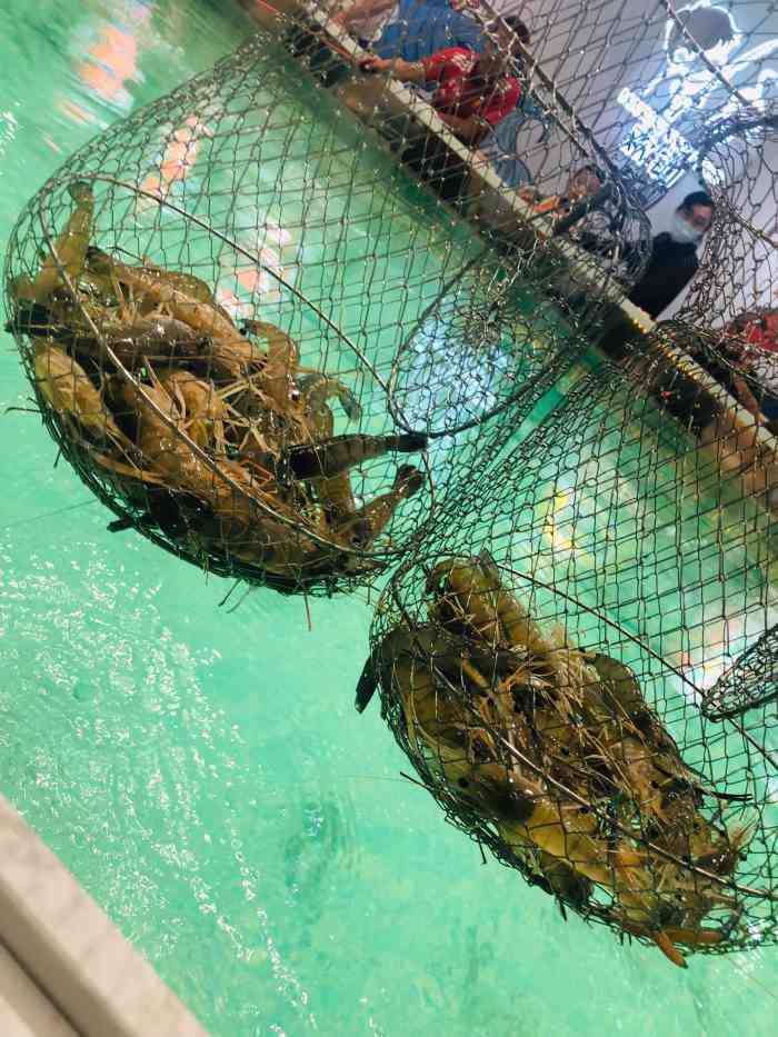 欢钓·台湾钓虾主题馆(中港城店)-"是可以肉眼看得到虾的精准考眼力