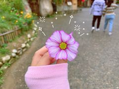 -斯瑞特国际酒店