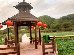 -红山村