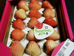 -BETTER拜特精品超市(丹尼斯一天地店)