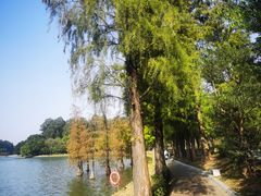 -南国桃园旅游度假区