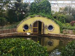 -南宫五洲植物乐园