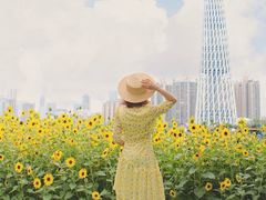 -二沙岛艺术公园