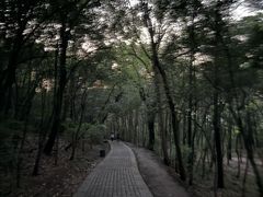 -紫金山山顶公园