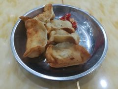 向群锅饺-向群锅饺(登高路店)