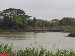 -福田红树林生态公园