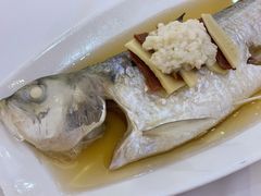 清蒸鲥鱼-新花城蟹粉馆(乌鲁木齐店)