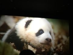 -哈尔滨电影院