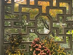 -杭州植物园